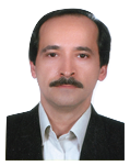 Mohammad Reza Ghorbani