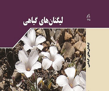 معرفی کتاب 