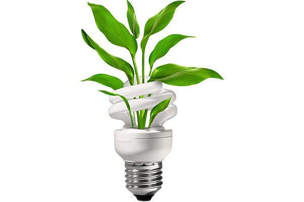 بازیافت لامپ‌های کم‌مصرف و مهتابی در پارک علم و فناوری دانشگاه 