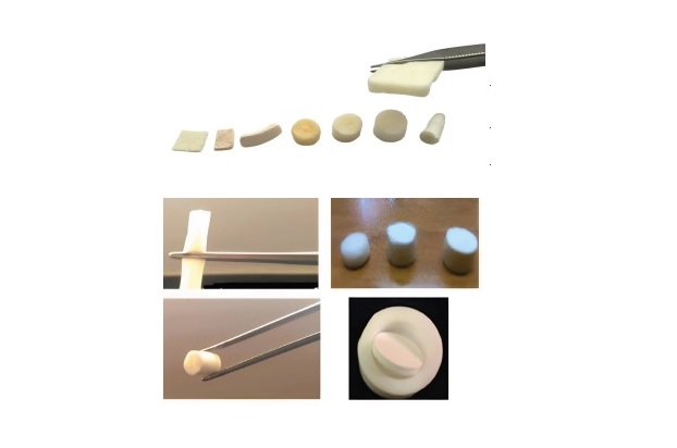  طراحی گرفت استخوانی سنتزی جهت ترمیم ضایعات استخوانی از سوی محققان دانشگاه تربیت مدرس